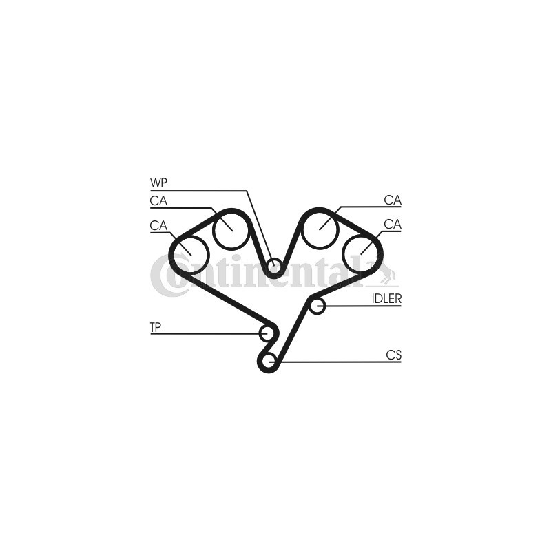 Courroie de distribution CONTINENTAL CTAM