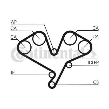Courroie de distribution CONTINENTAL CTAM