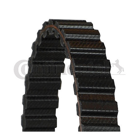 Courroie de distribution CONTINENTAL CTAM