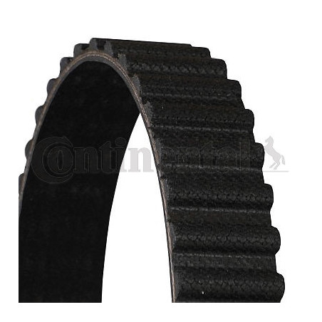 Courroie de distribution CONTINENTAL CTAM