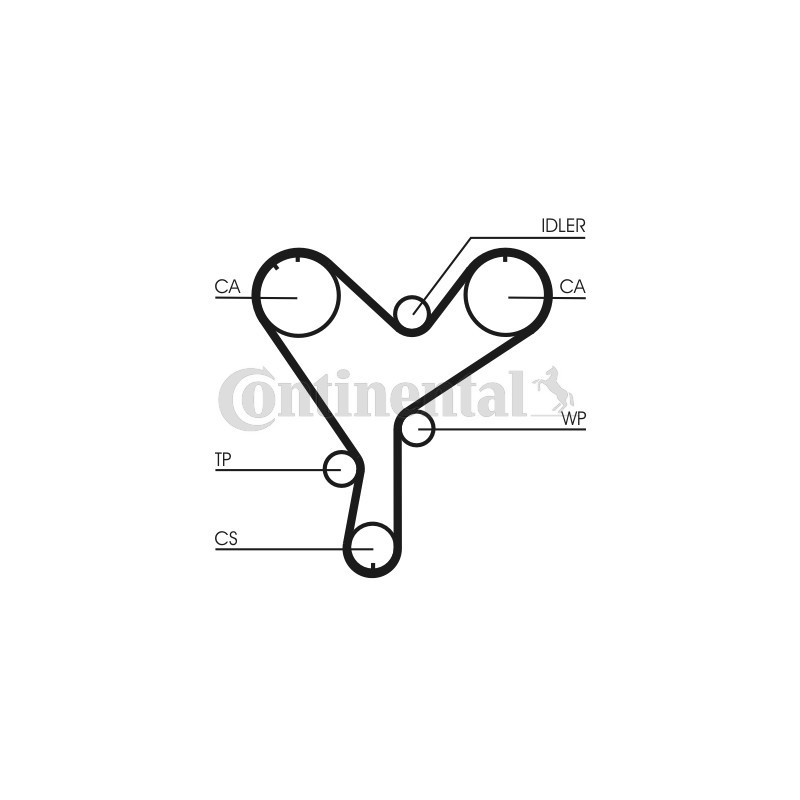 Courroie de distribution CONTINENTAL CTAM