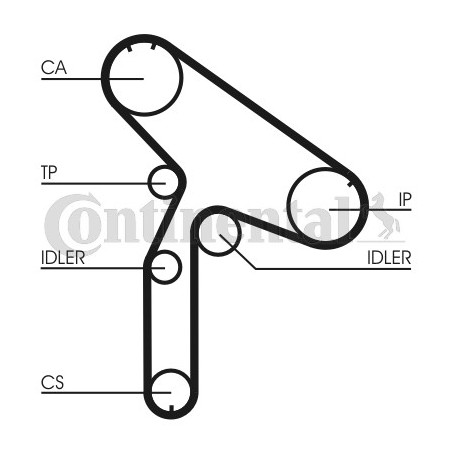 Courroie de distribution CONTINENTAL CTAM