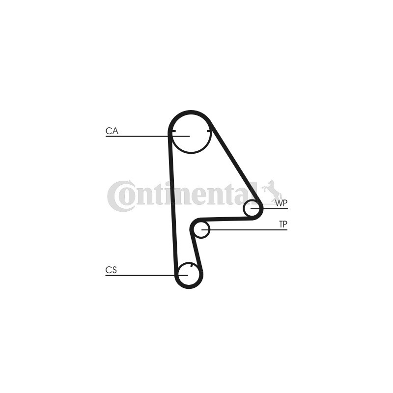 Kit de distribution + pompe à eau CONTINENTAL CTAM