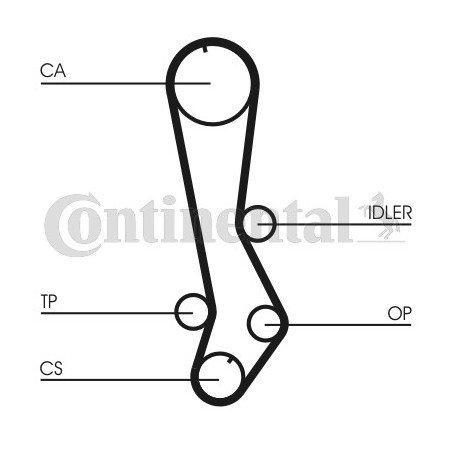 Courroie de distribution CONTINENTAL CTAM