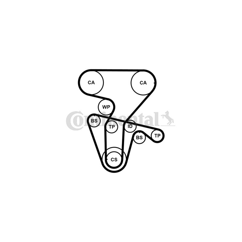 Kit de distribution + pompe à eau CONTINENTAL CTAM