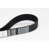 Courroie de distribution CONTINENTAL CTAM