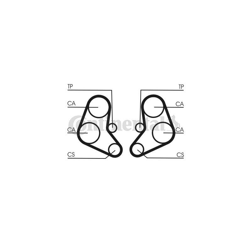 Courroie de distribution CONTINENTAL CTAM