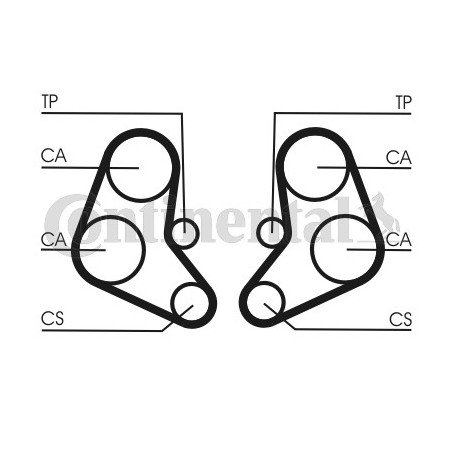 Courroie de distribution CONTINENTAL CTAM