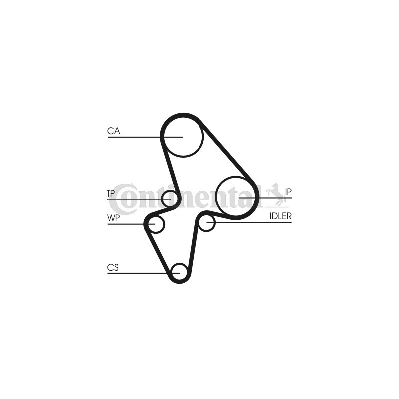 Kit de distribution + pompe à eau CONTINENTAL CTAM