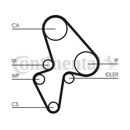 Kit de distribution + pompe à eau CONTINENTAL CTAM