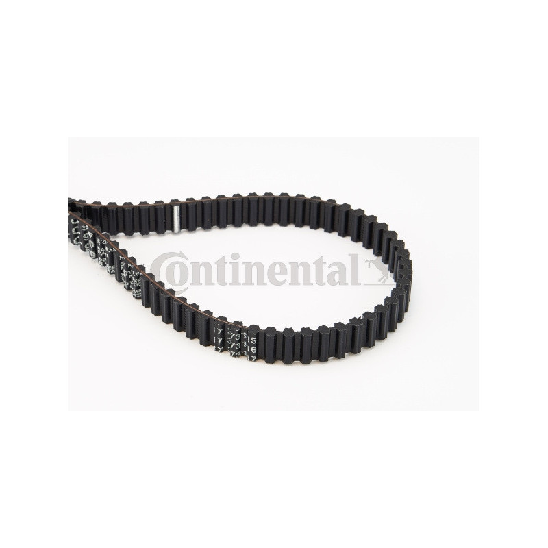 Courroie de distribution CONTINENTAL CTAM