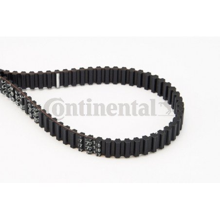 Courroie de distribution CONTINENTAL CTAM