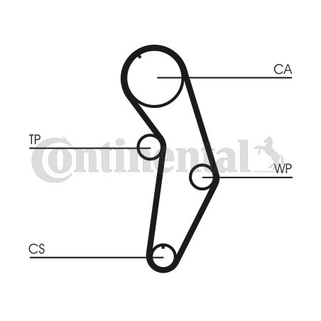 Kit de distribution + pompe à eau CONTINENTAL CTAM