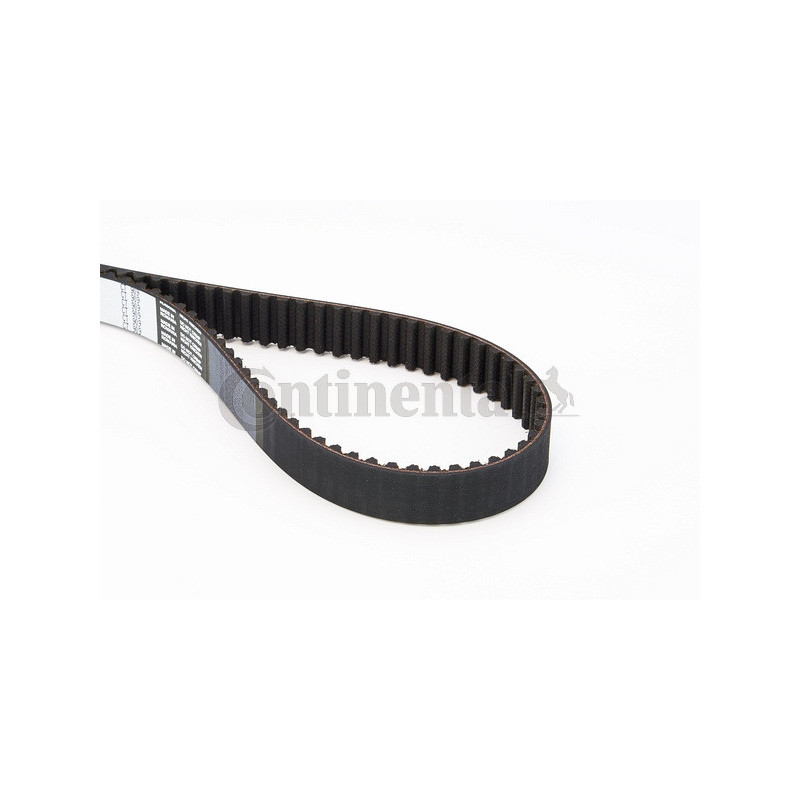 Courroie de distribution CONTINENTAL CTAM