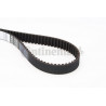 Courroie de distribution CONTINENTAL CTAM