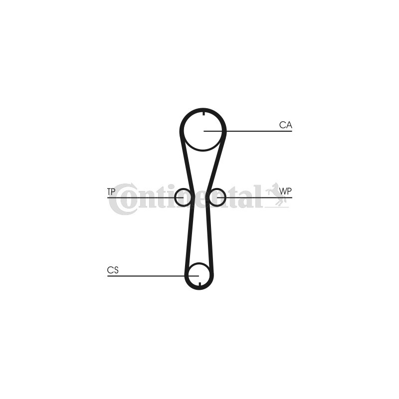 Courroie de distribution CONTINENTAL CTAM