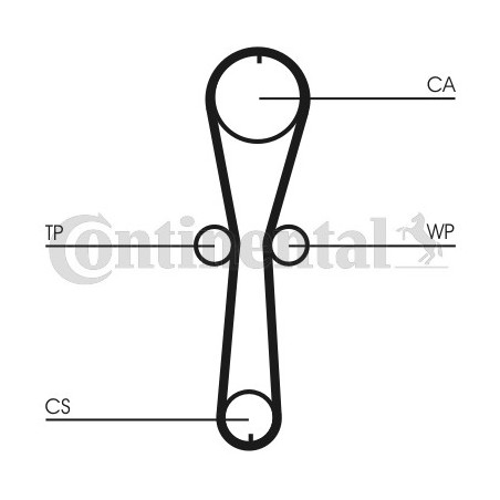 Kit de distribution CONTINENTAL CTAM