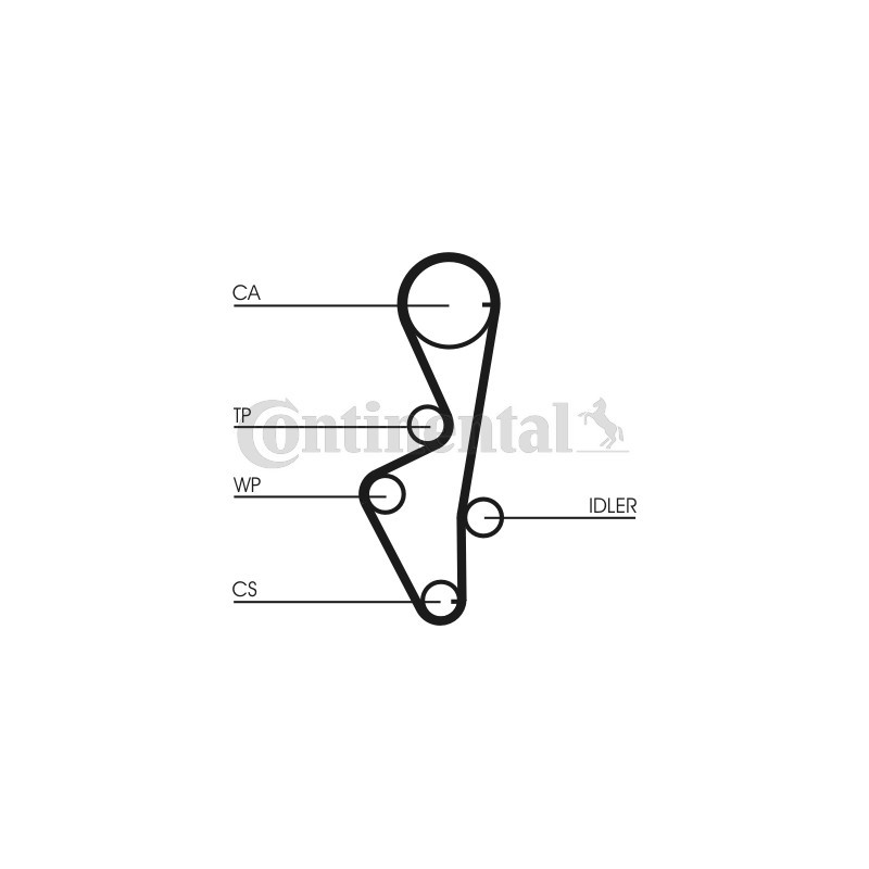Courroie de distribution CONTINENTAL CTAM