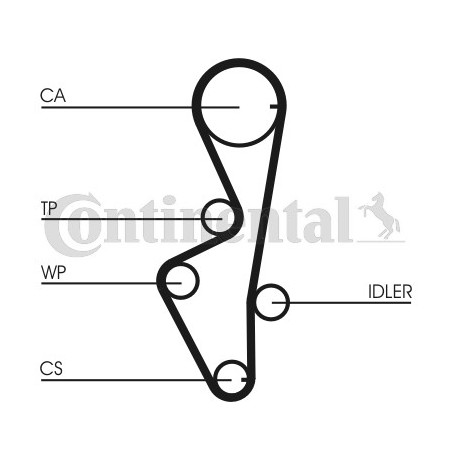 Courroie de distribution CONTINENTAL CTAM