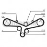 Courroie de distribution CONTINENTAL CTAM