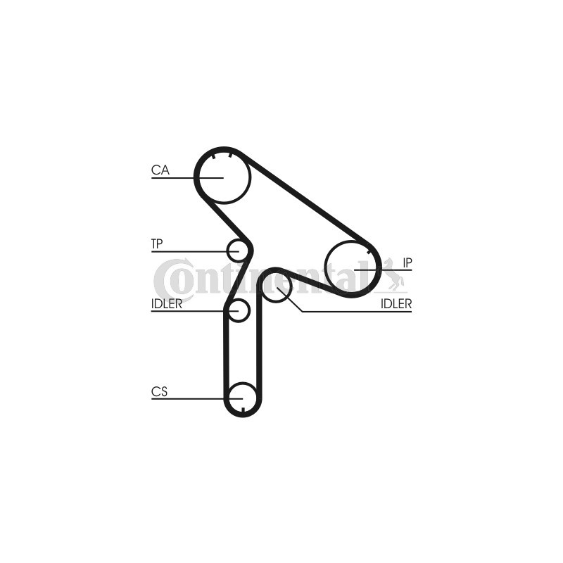 Courroie de distribution CONTINENTAL CTAM