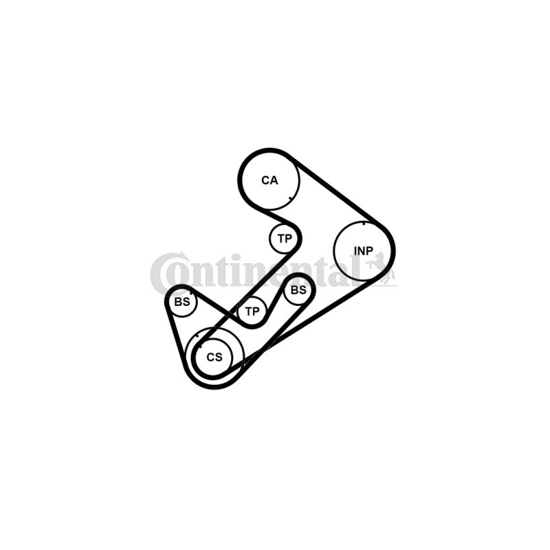 Kit de distribution CONTINENTAL CTAM