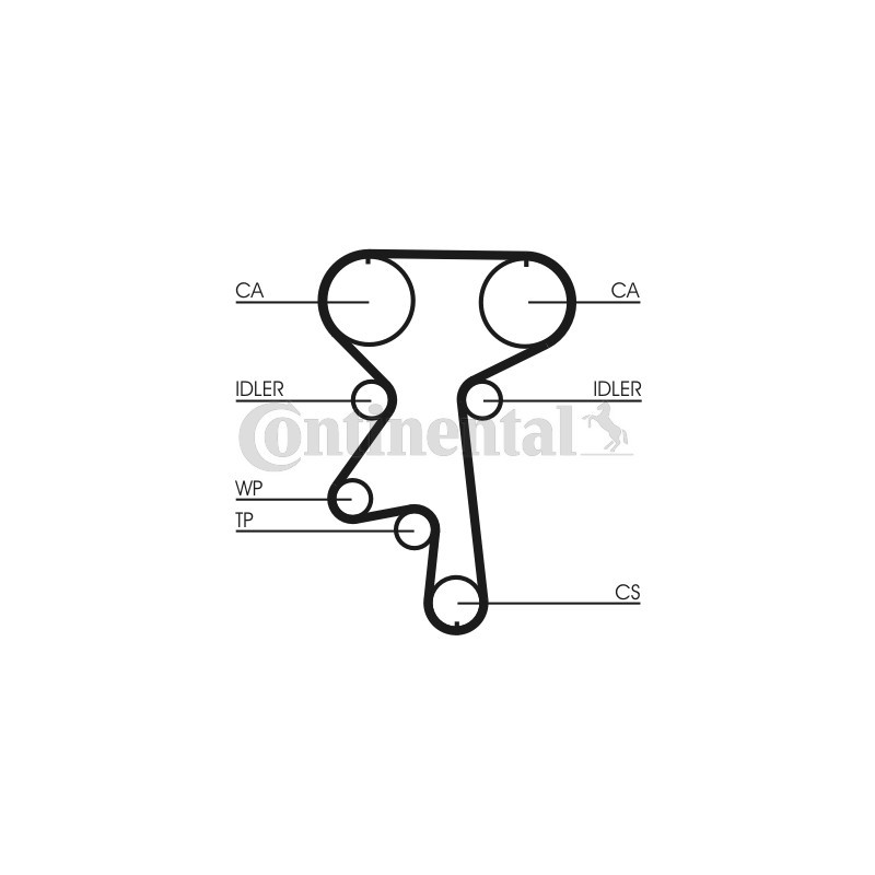 Courroie de distribution CONTINENTAL CTAM