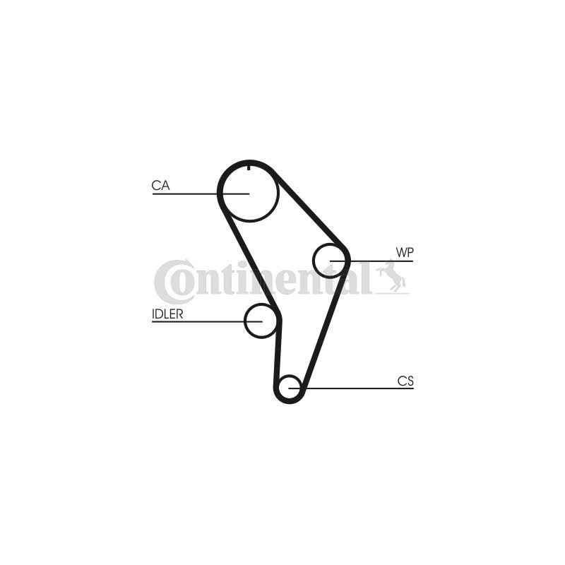 Courroie de distribution CONTINENTAL CTAM