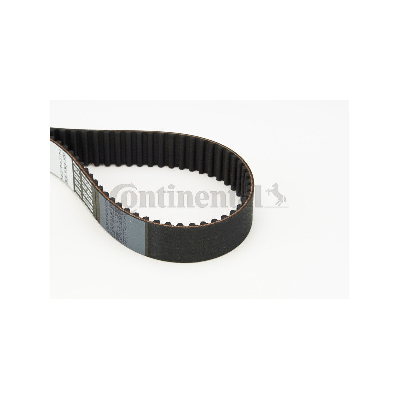 Courroie de distribution CONTINENTAL CTAM