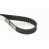 Courroie de distribution CONTINENTAL CTAM