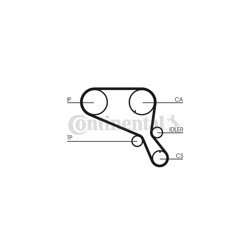 Courroie de distribution CONTINENTAL CTAM
