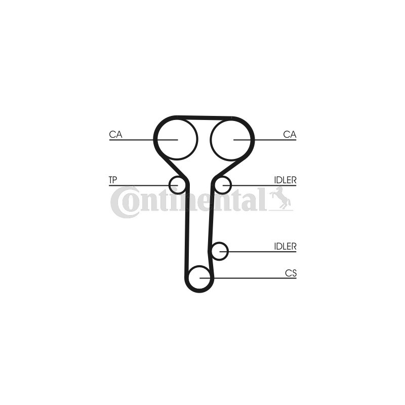 Courroie de distribution CONTINENTAL CTAM