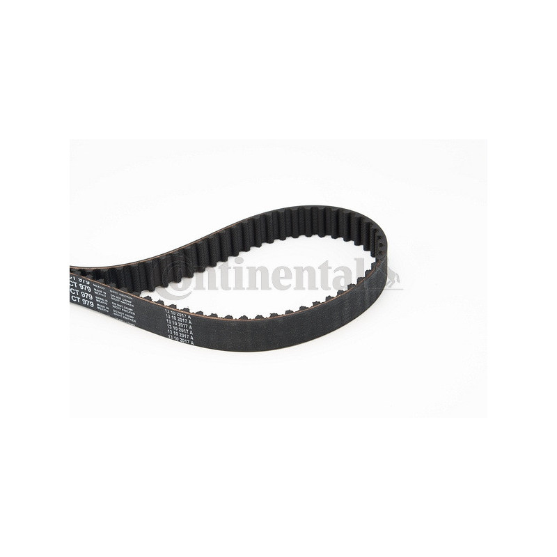 Courroie de distribution CONTINENTAL CTAM