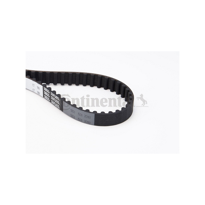 Courroie de distribution CONTINENTAL CTAM