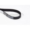 Courroie de distribution CONTINENTAL CTAM