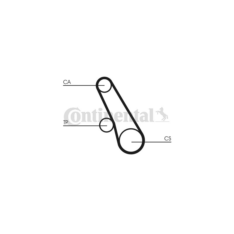 Courroie de distribution CONTINENTAL CTAM