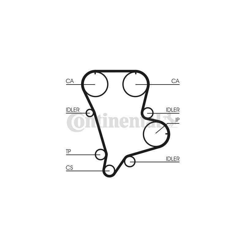 Courroie de distribution CONTINENTAL CTAM
