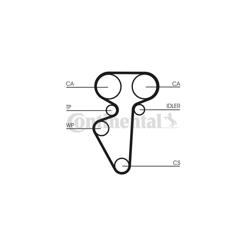 Courroie de distribution CONTINENTAL CTAM
