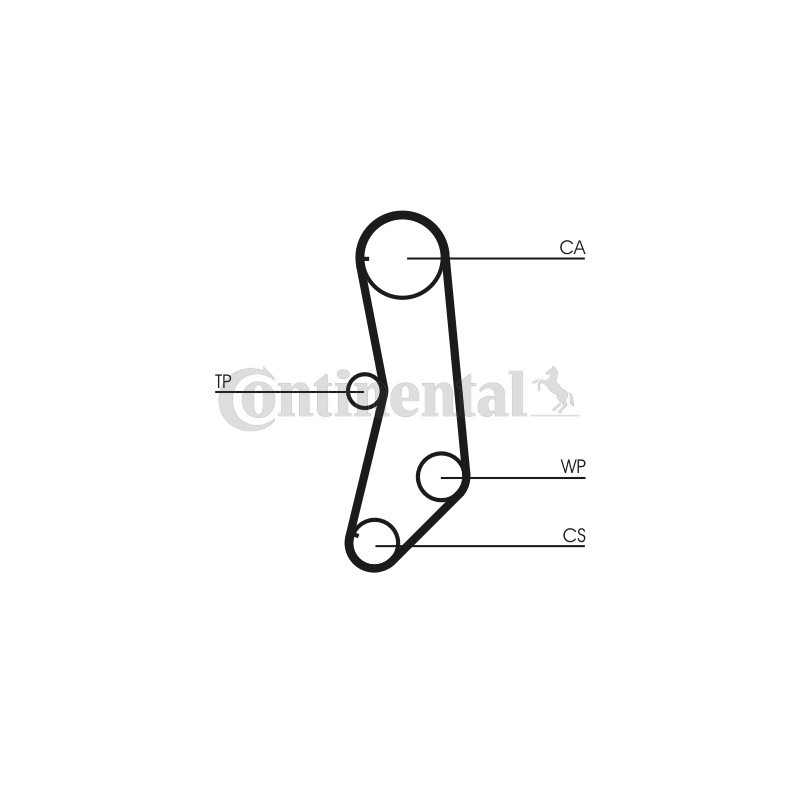 Courroie de distribution CONTINENTAL CTAM