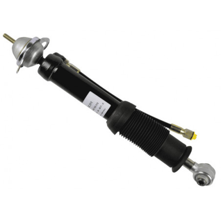 Amortisseur (à l'unité) SACHS