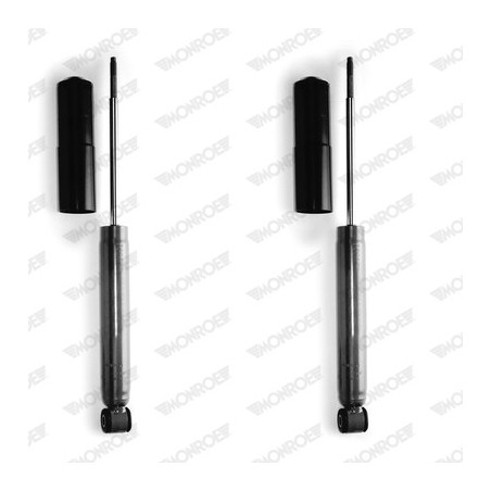 Amortisseur (à l'unité) MONROE