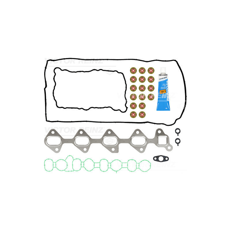 Pochette de rodage moteur VICTOR REINZ