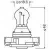 Ampoule (feu arrière / feu clignotant) OSRAM