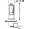 Ampoule (Phare principal / antibrouillard) OSRAM