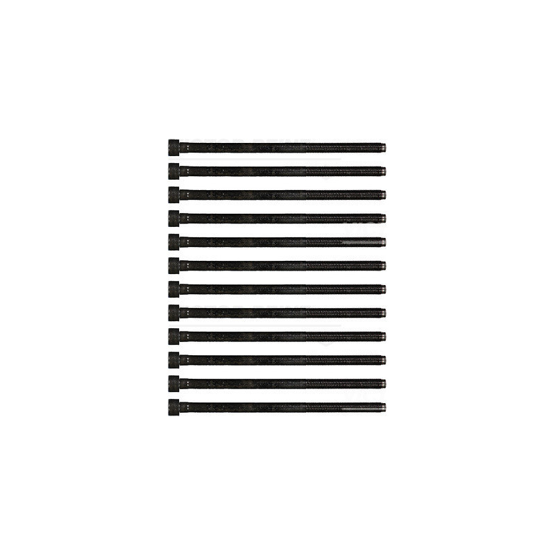 Jeu de boulons de culasse de cylindre VICTOR REINZ