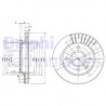 Jeu de 2 disques de frein DELPHI