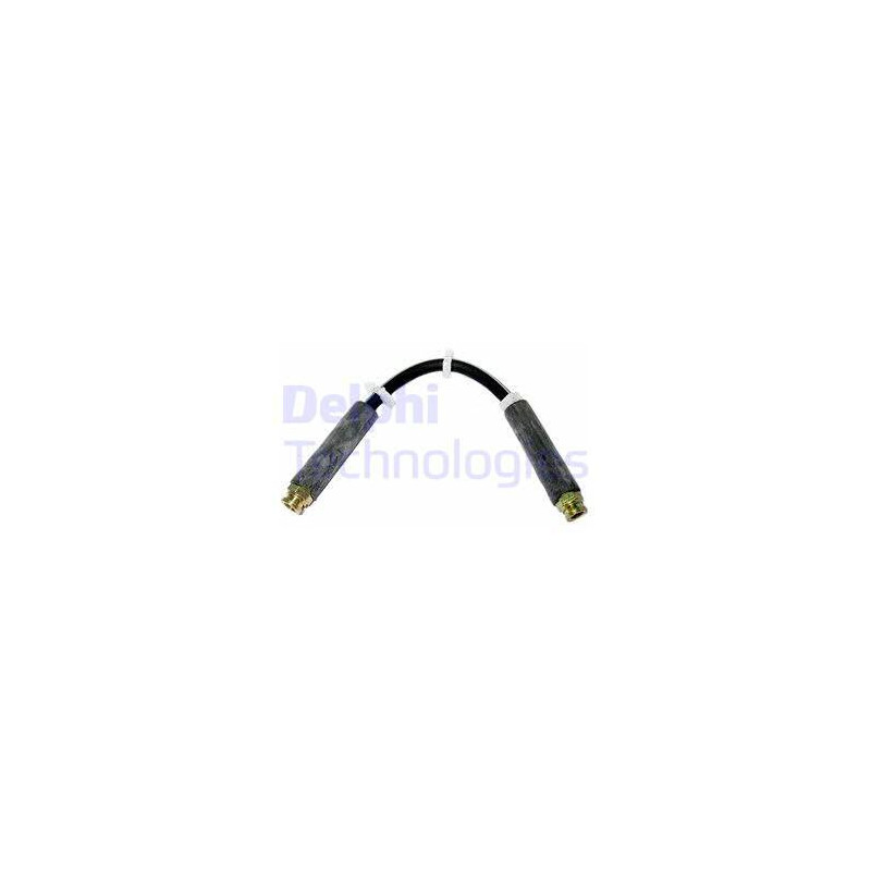 Flexible de frein DELPHI