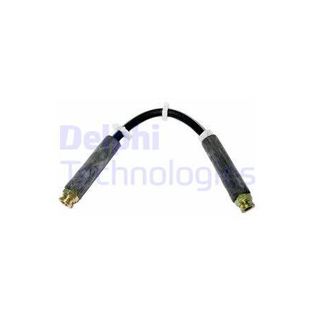 Flexible de frein DELPHI