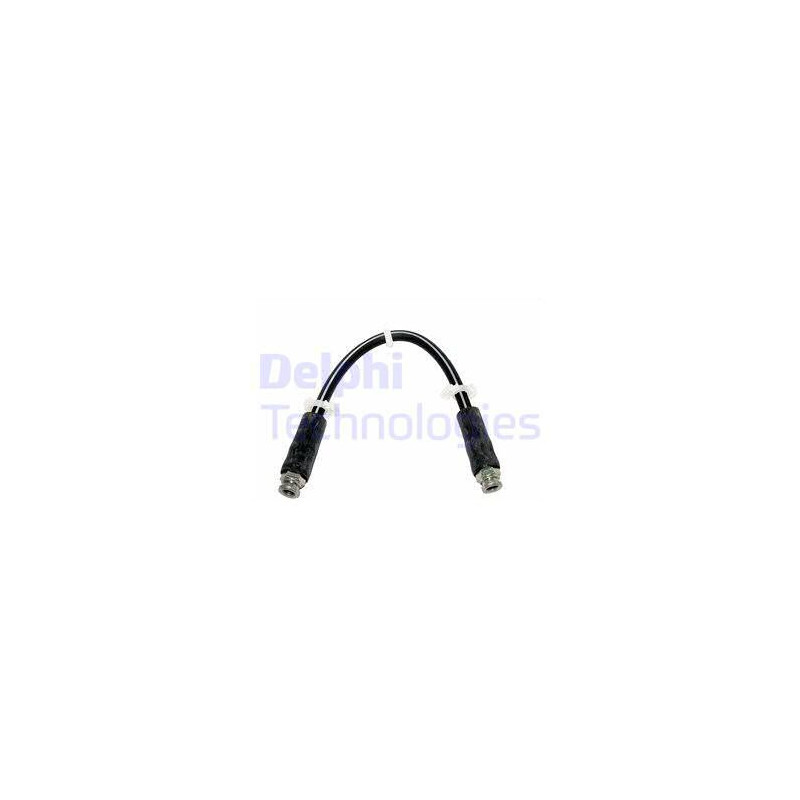 Flexible de frein DELPHI