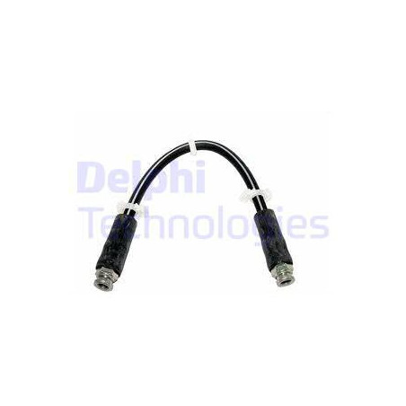 Flexible de frein DELPHI